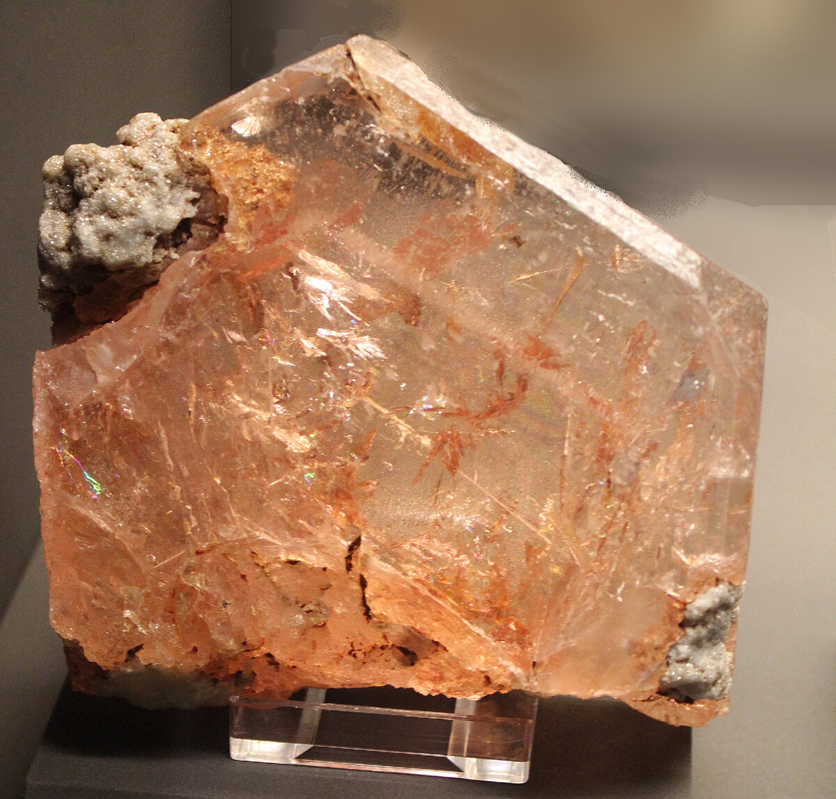 Авторство: Dguendel. Собственная работа, CC BY 4.0, источник: commons.wikimedia.org