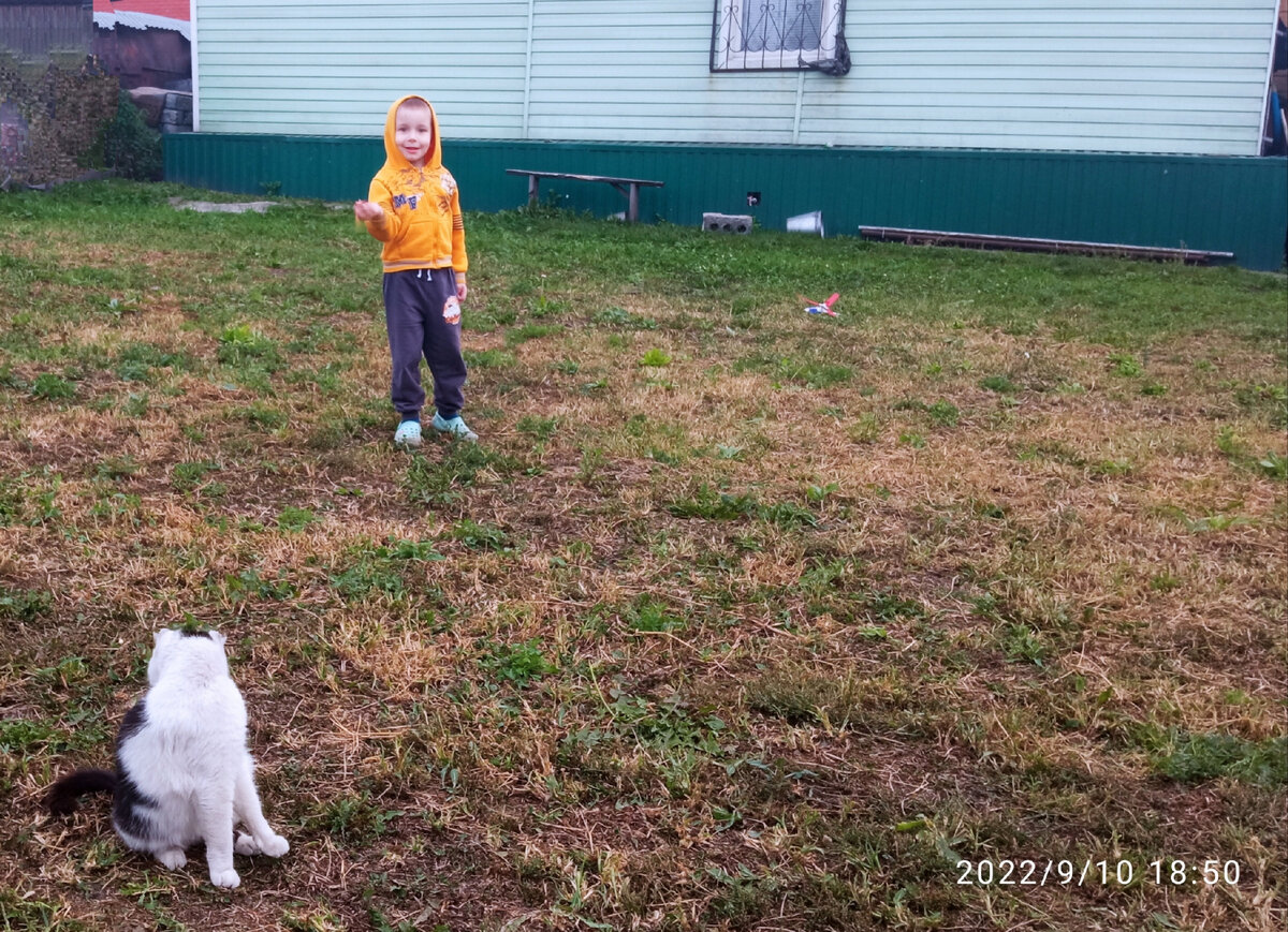 Вадим и кот Саша кадр портит