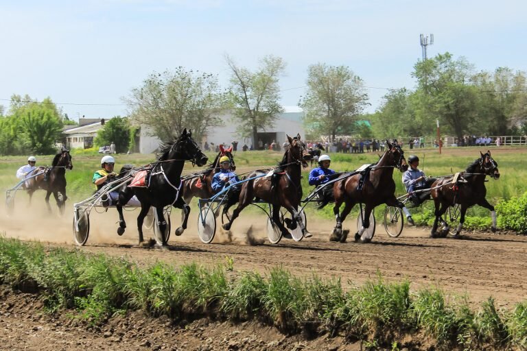    На оренбургском ипподроме состоится закрытие скакового сезона племенных лошадей Кристина Просвиркина
