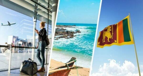 Иллюстрация из открытых источников