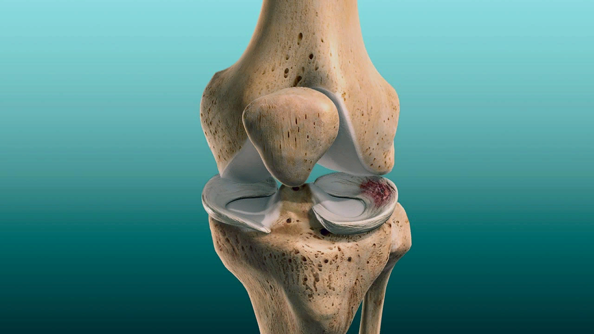 Источник: shutterstock.com