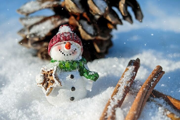 Фото: Pixabay