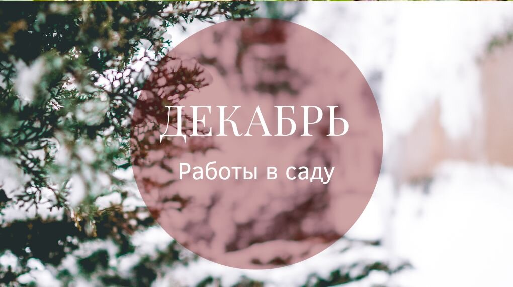 Вот и настал тот месяц, когда в саду ничего делать не нужно. 