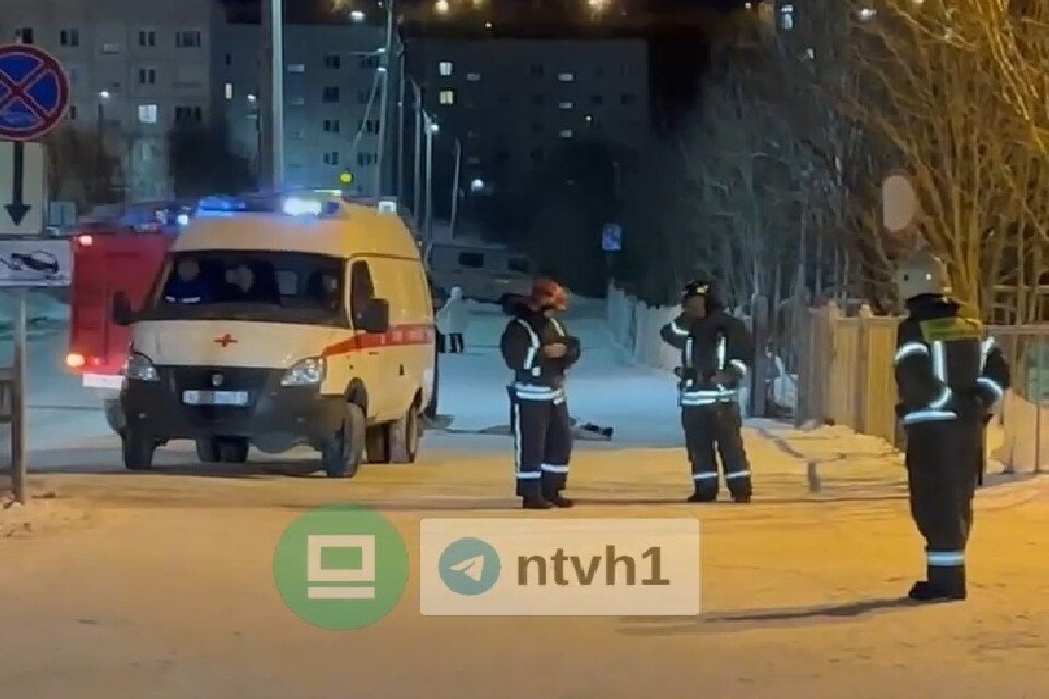    Взрывное устройство искала немецкая овчарка Атом. Фото: vk.com/narodnoetvx