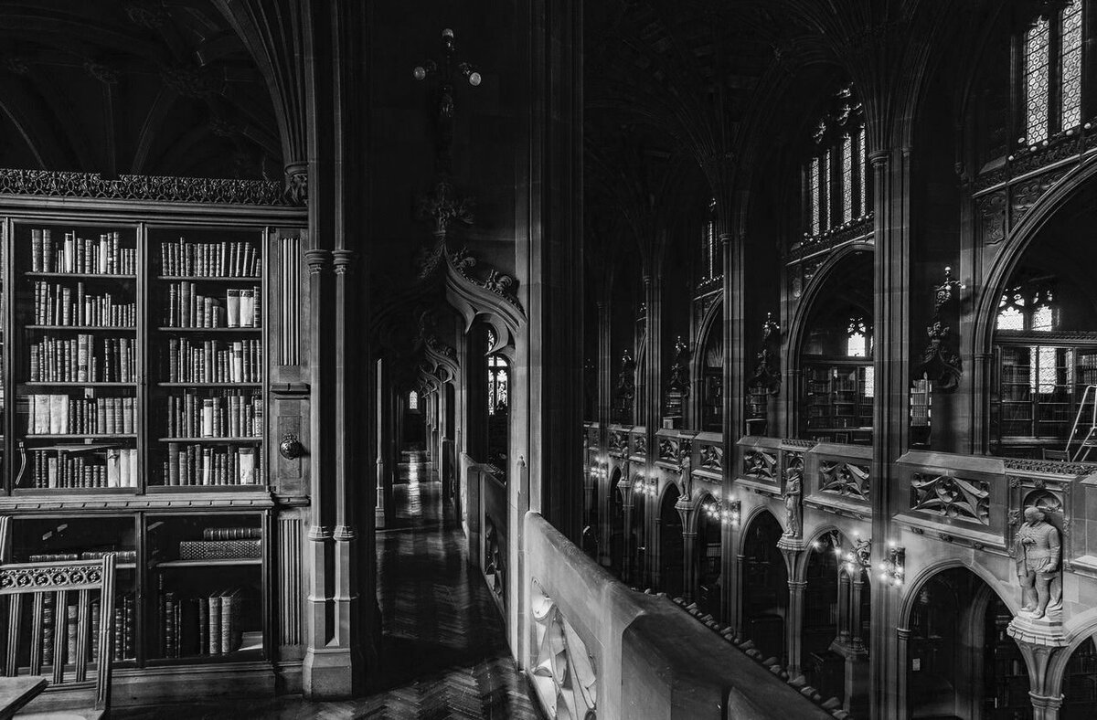 библиотека черно белое фото