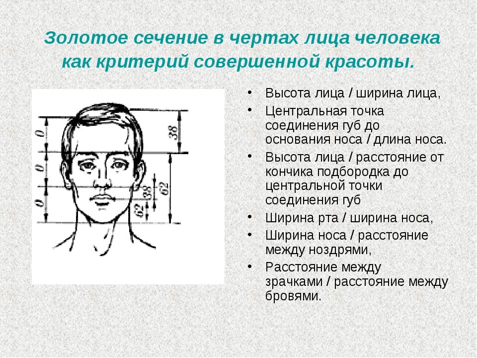 Наложить золотое сечение на фото онлайн бесплатно