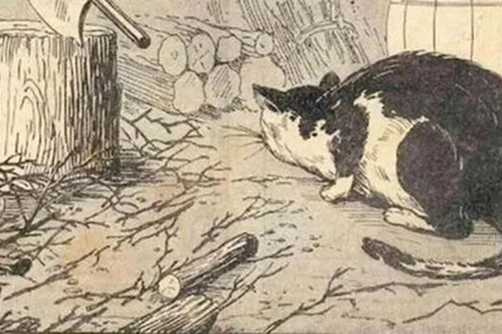     Оптическая иллюзия, которая покажет грозит ли вам деменция