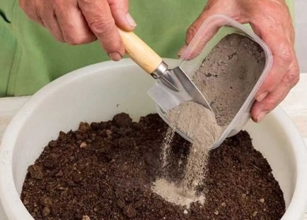 Секрет коренастой рассады прост: дармовая заправка для грунта, которая обеззараживает землю и подкармливает сеянцы