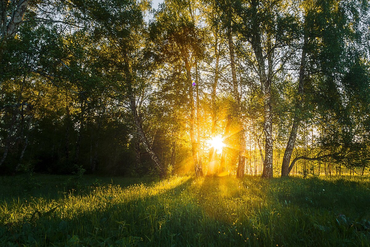 Яндекс картинки