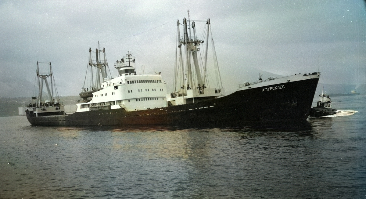 Яндекс картинки. Свободный доступ.