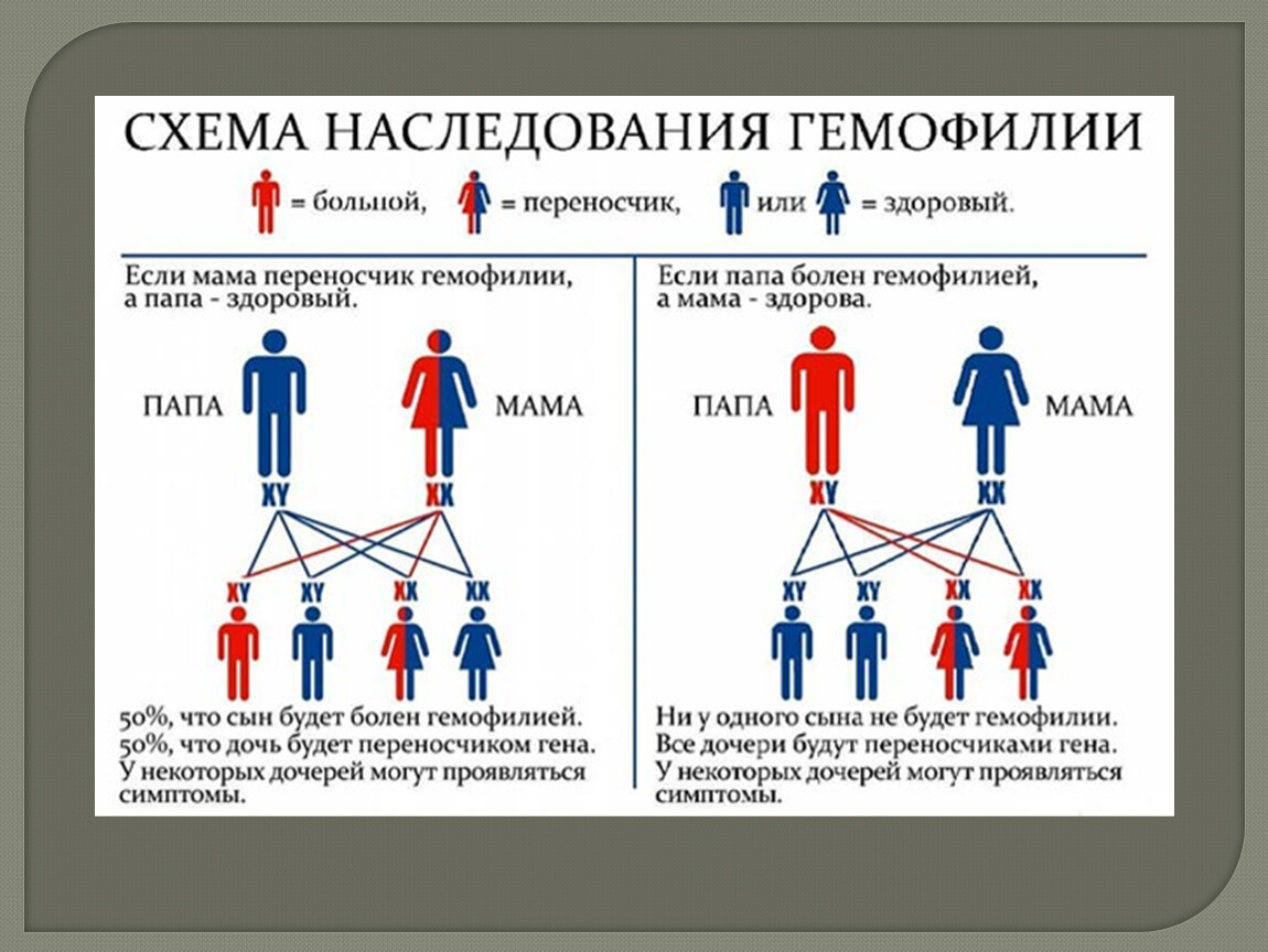 Гемофилия проявления. Гемофилия Тип наследования. Тип наследования при гемофилии. Тип наследования болезни гемофилии.