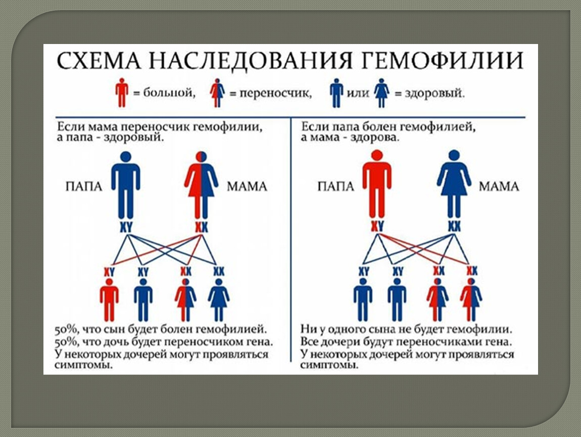 Мать носитель и гемофилия