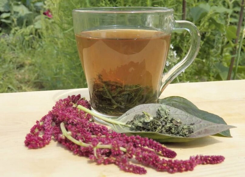 И кто сказал, что фермерство, это только про картошку и морковь с коровами!? Сегодня хотим вам рассказать о необычных фермерских хозяйствах:

1.-4