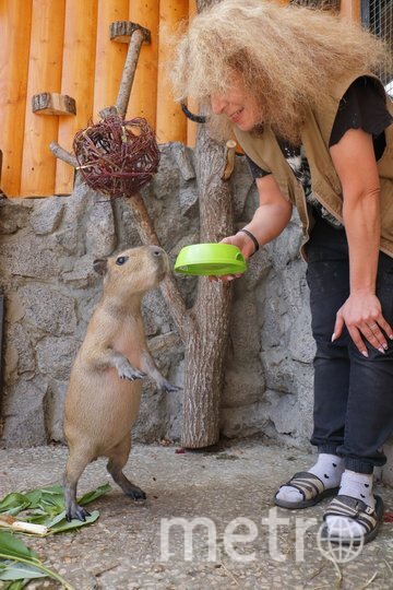    Фото: vk.com/spbzoopark.