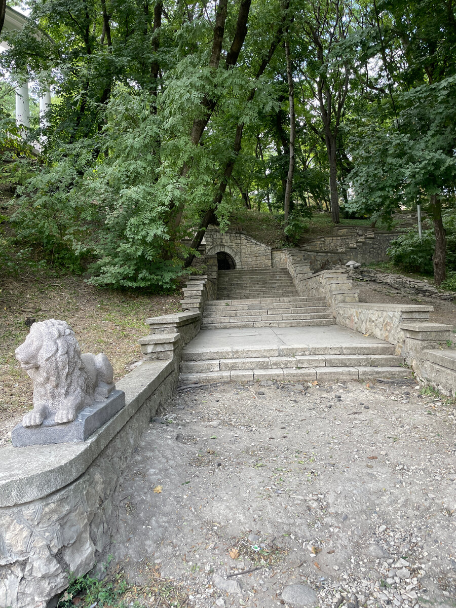 Милые львята))