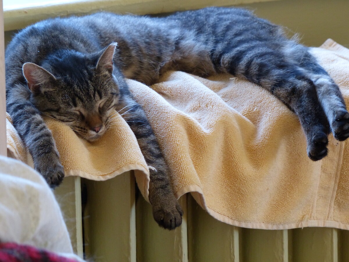 Тепло и хорошо 