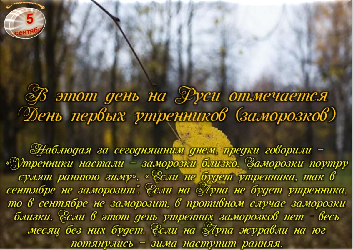 5 сентября - Приметы, обычаи и ритуалы, традиции и поверья дня. Все  праздники дня во всех календарях. | Сергей Чарковский Все праздники | Дзен