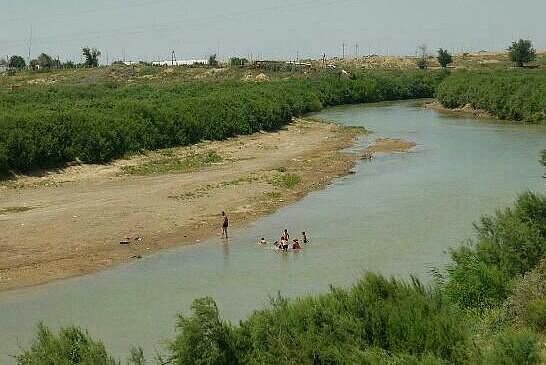 Фото из интернета. Река Арысь.