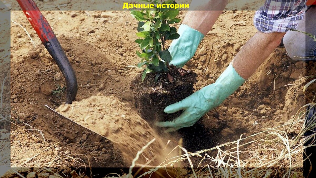 https://vk.com/photo-159774511_457247563