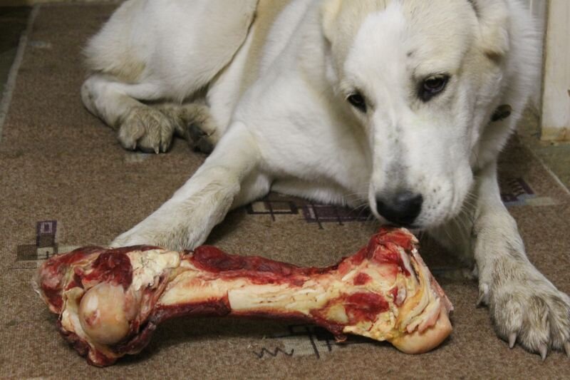 чем больше Бася, тем больше еёные косточки