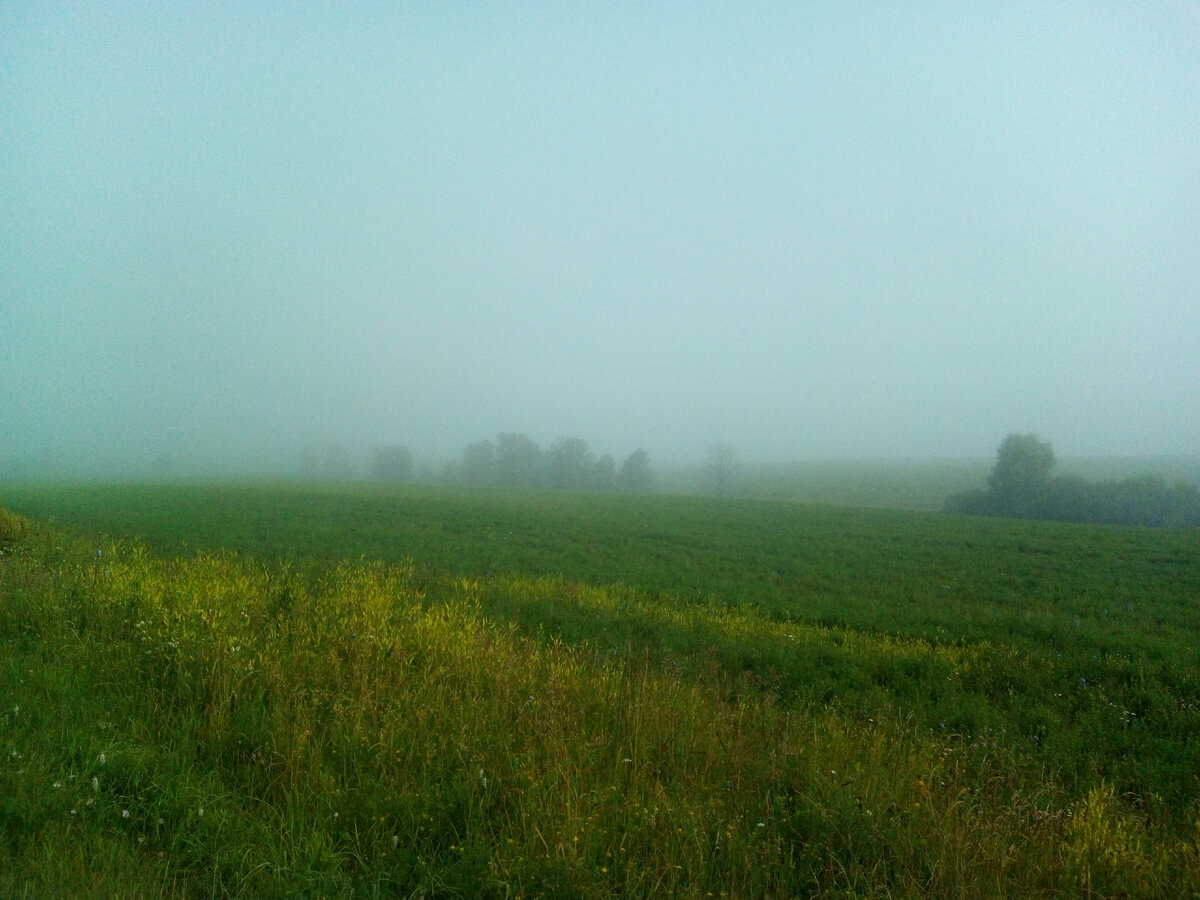 Фото из личного архива