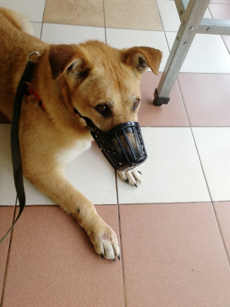 Наш потухший солнечный мальчик