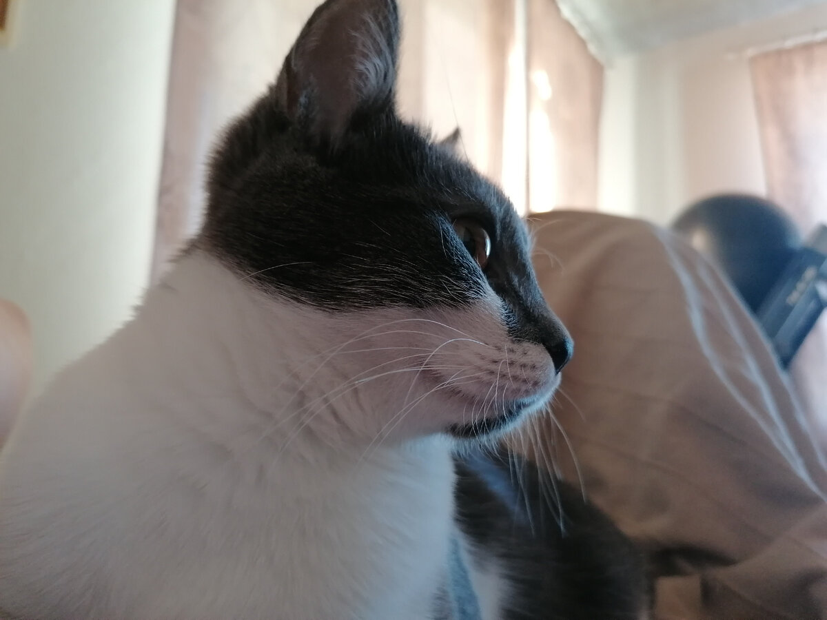 Четыре утра? А у меня часов нет. Солнце встало, значит вставай!