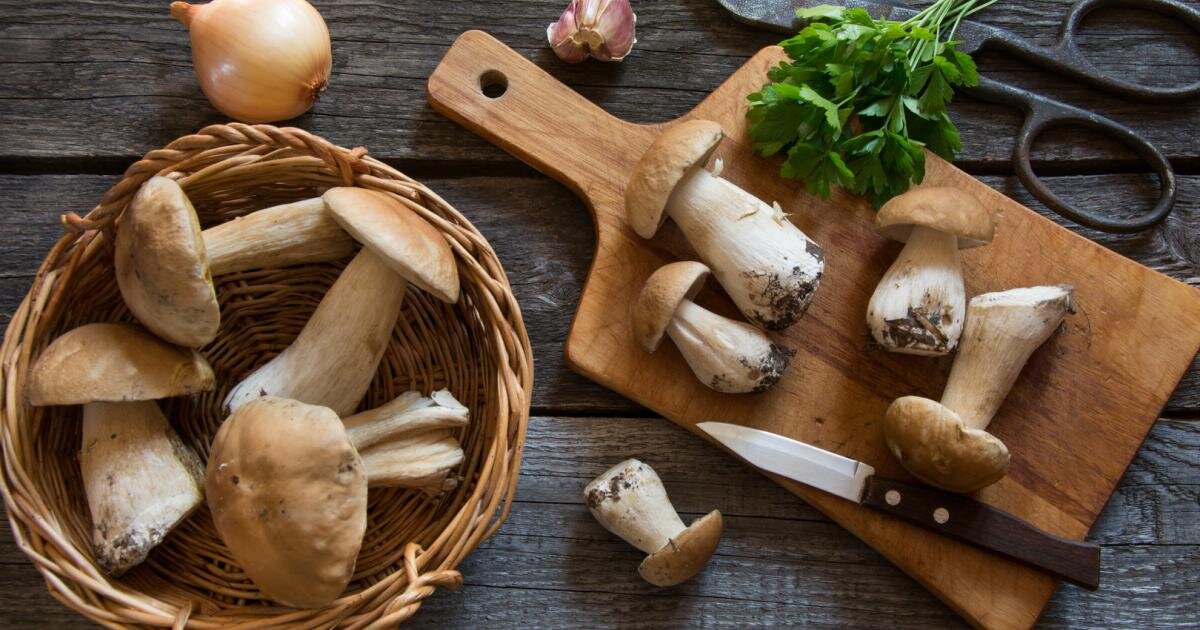 Источник изображения: flipboard.com