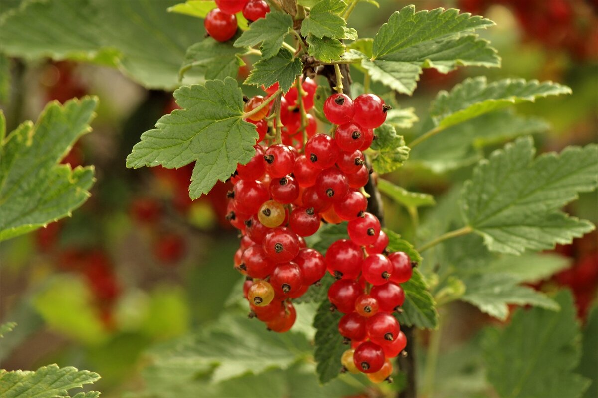 Фото из открытых источников.