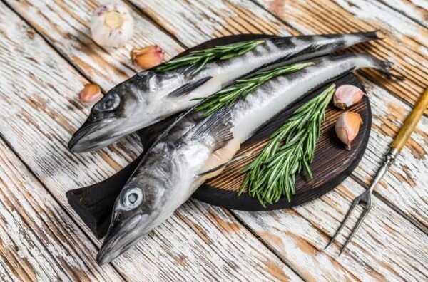  Ледяная рыба. Фото tripadvisor.com