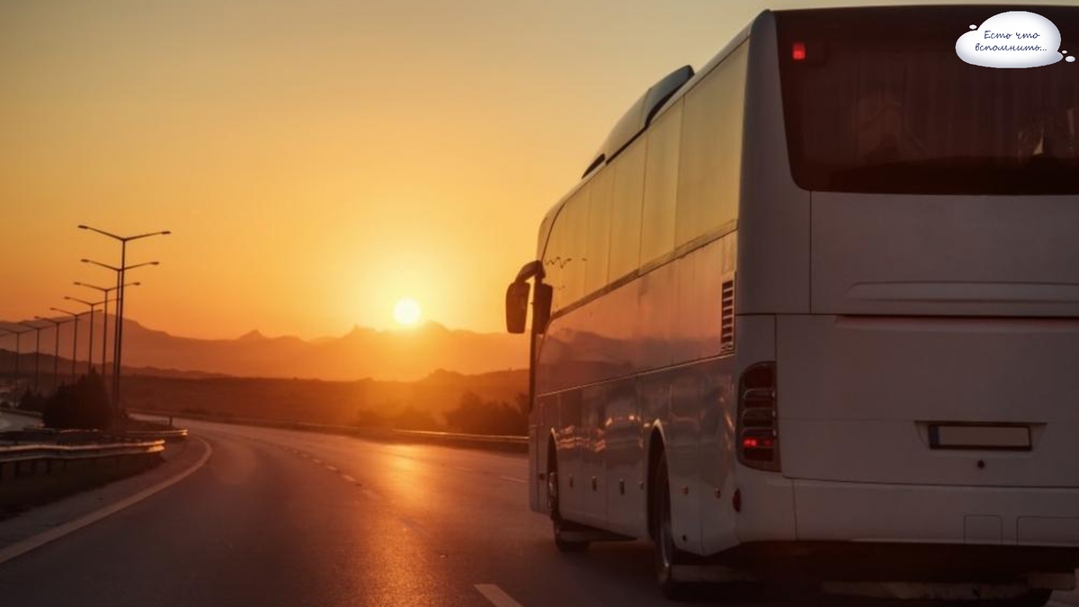 Фото из доступных источников интернета Яндекс.картинки