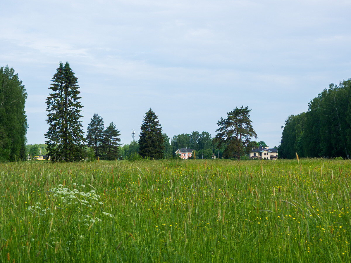 Большое поле и поселок вдали