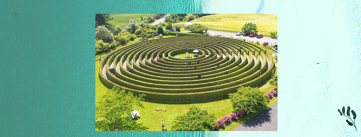 AMAZEme, Северный остров, Новая Зеландия