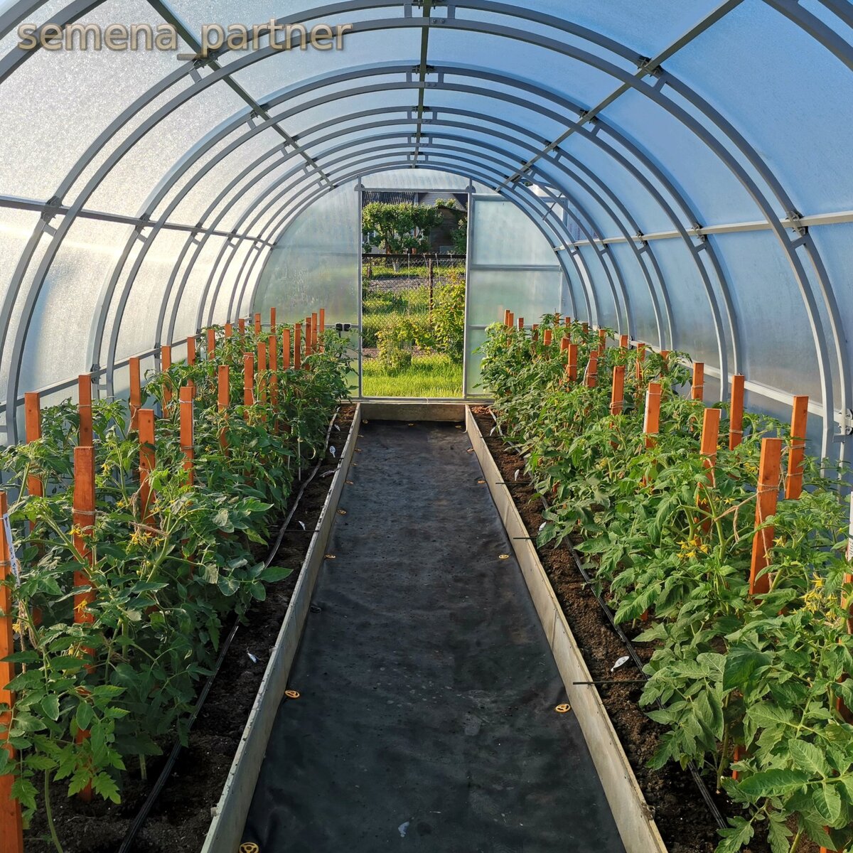 Mini greenhouse 