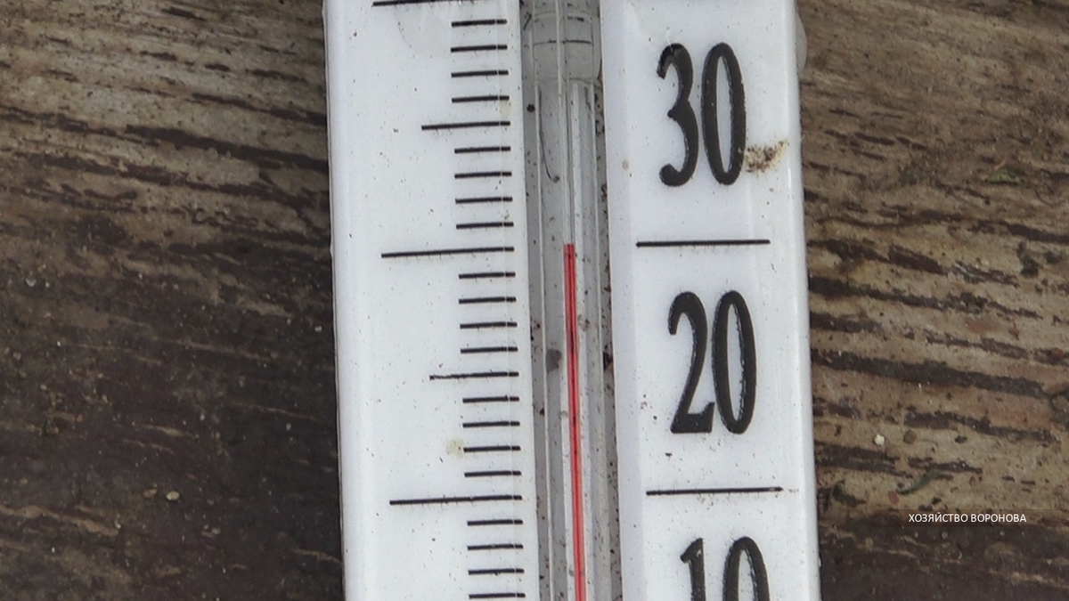 Температура в теплице 30 градусов, а на улице 33