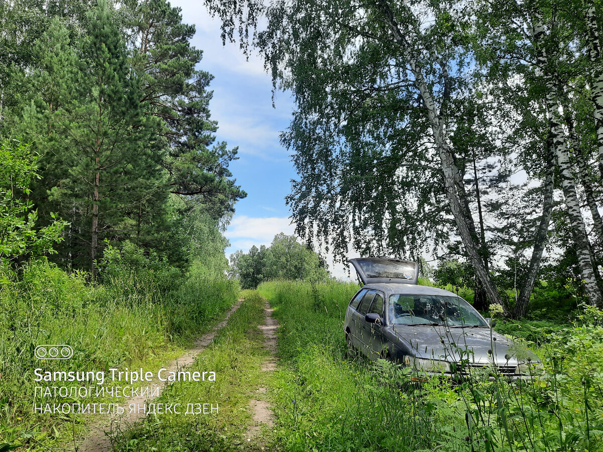 Мой DeLorean DMC-12 в бору под Бийском)))