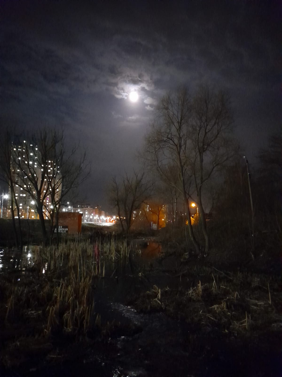 Мир в том виде какой он есть, загадочен и прекрасен. Особенно ночью.