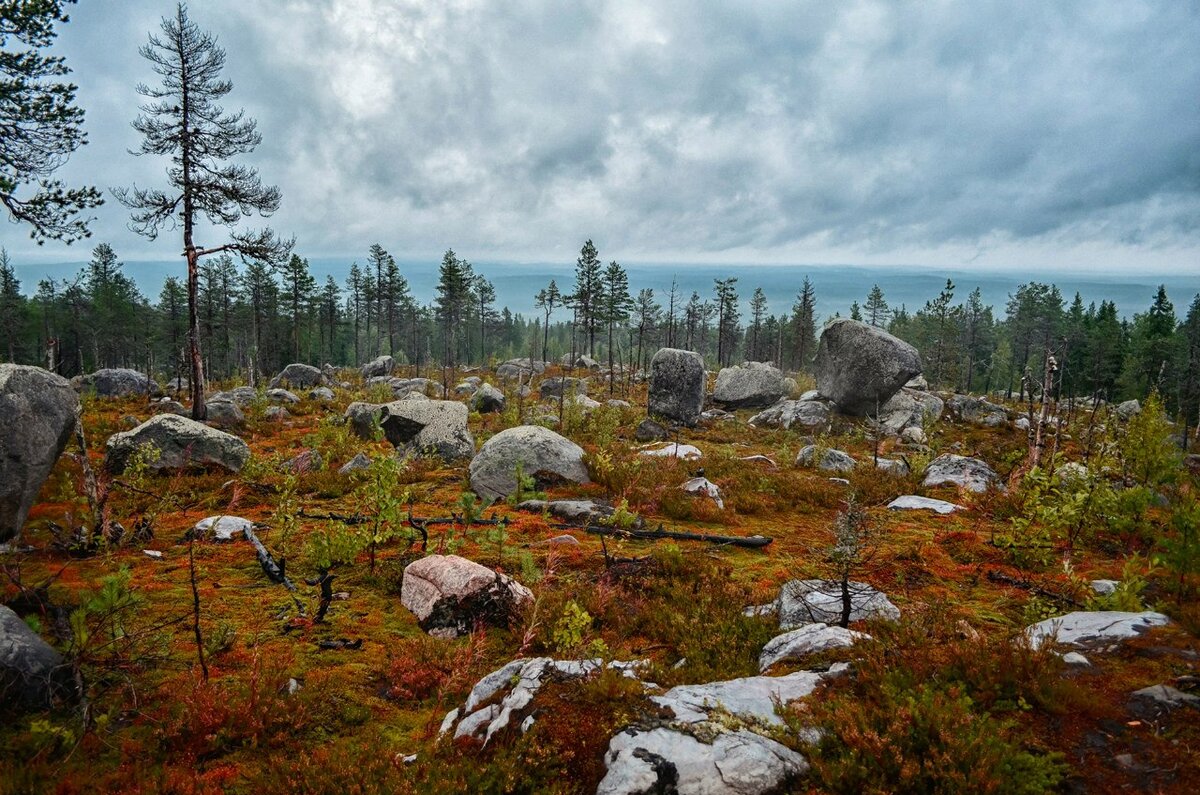 Фото: Алена Егорова