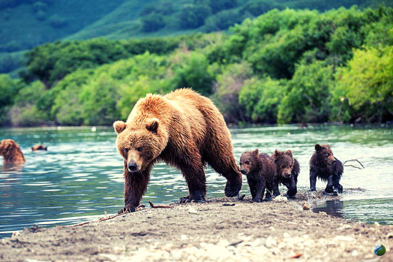 Байкало Ленский заповедник