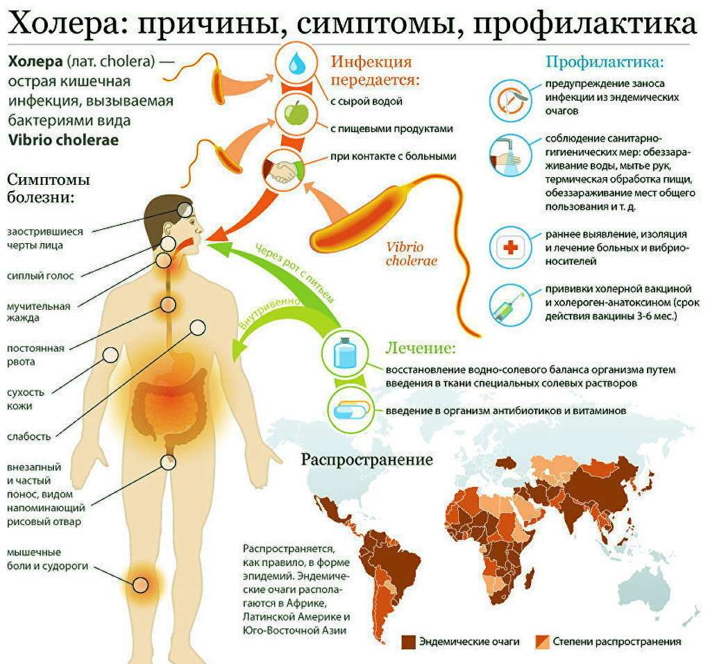 Холера иммунитет после заболевания