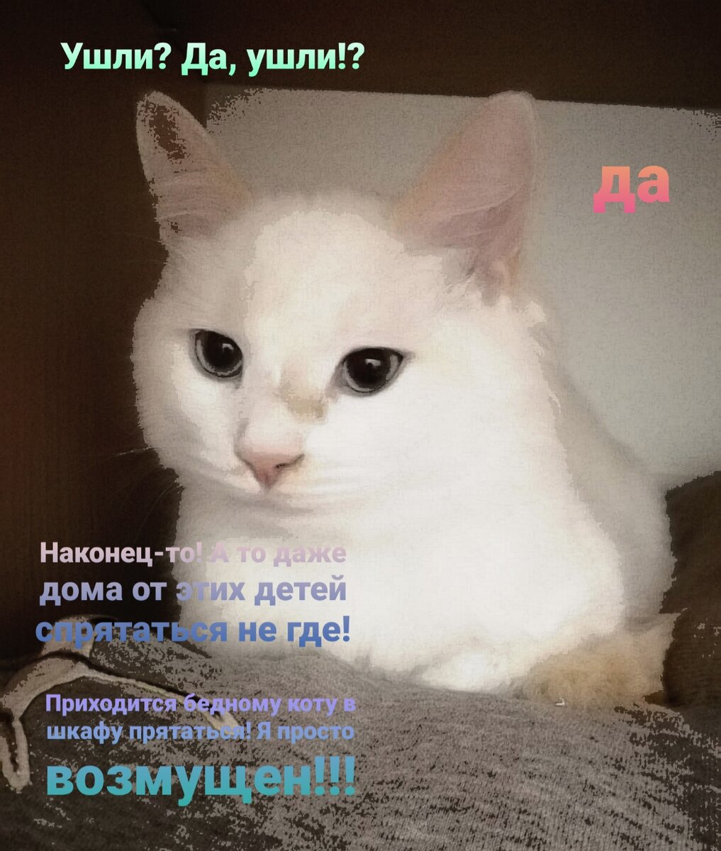 Мог бы, Марк, и посидеть с ними не много!