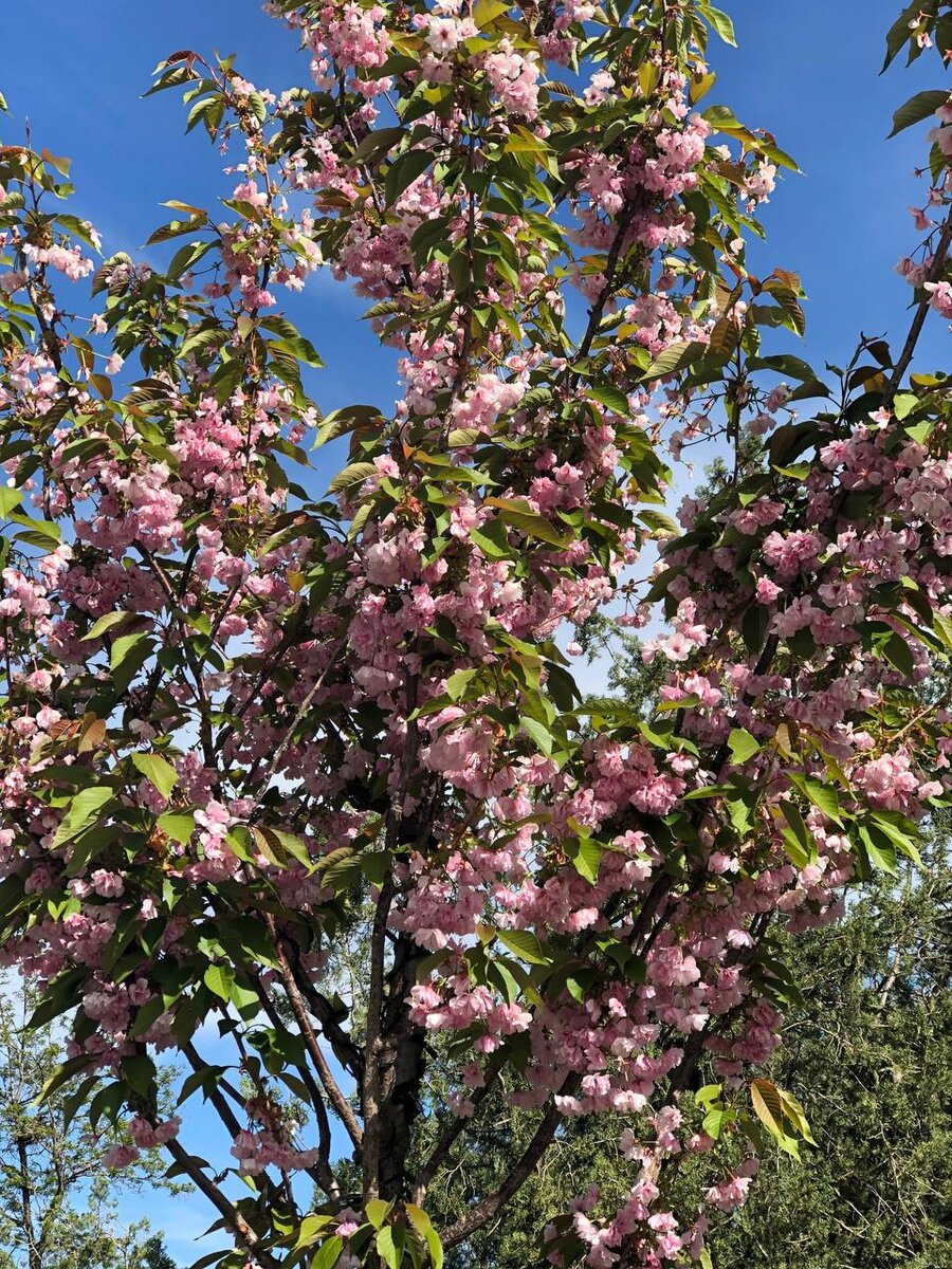 фото из архива автора 