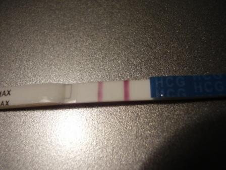 Фото из открытых источников Яндекса