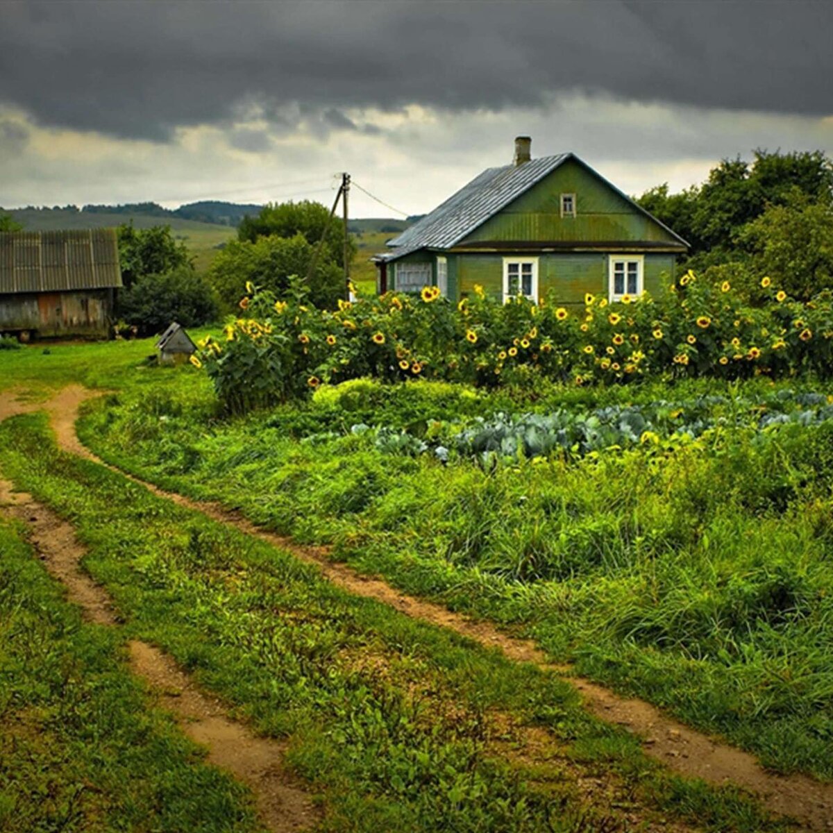 Деревня Село