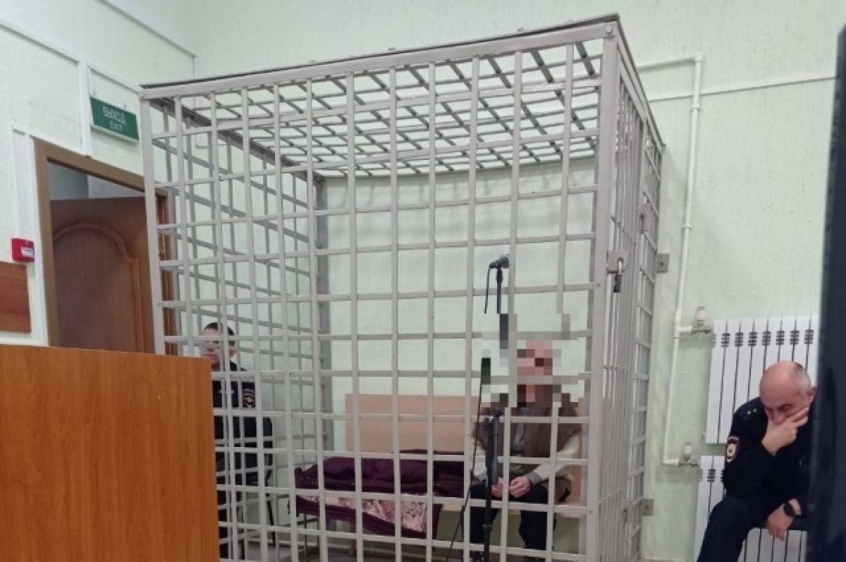    Пенсионерка из Богородицкого района убила и расчленила супругу внука