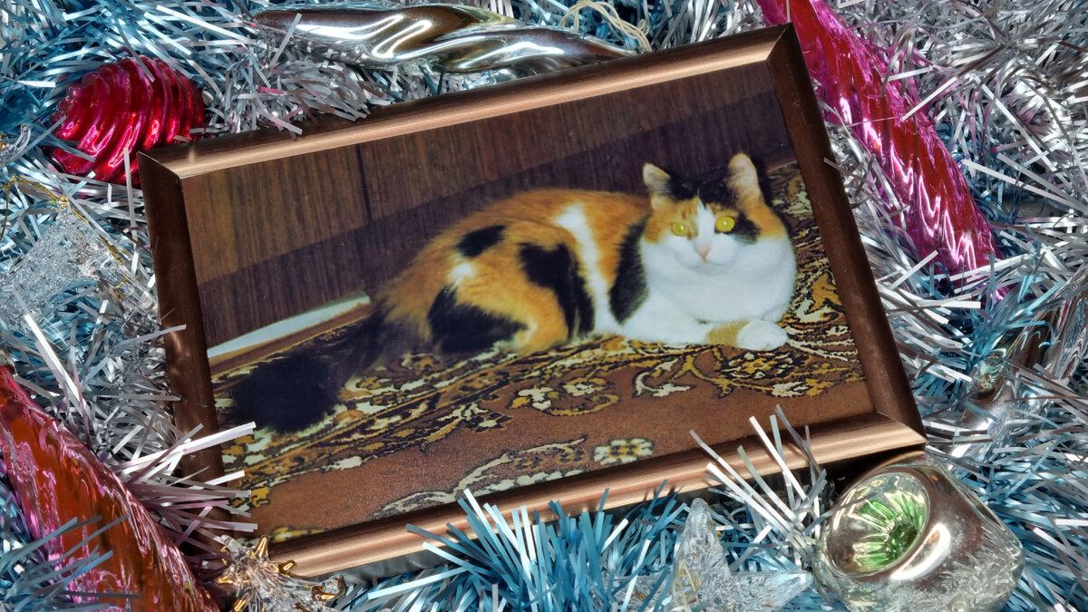 Фото автора