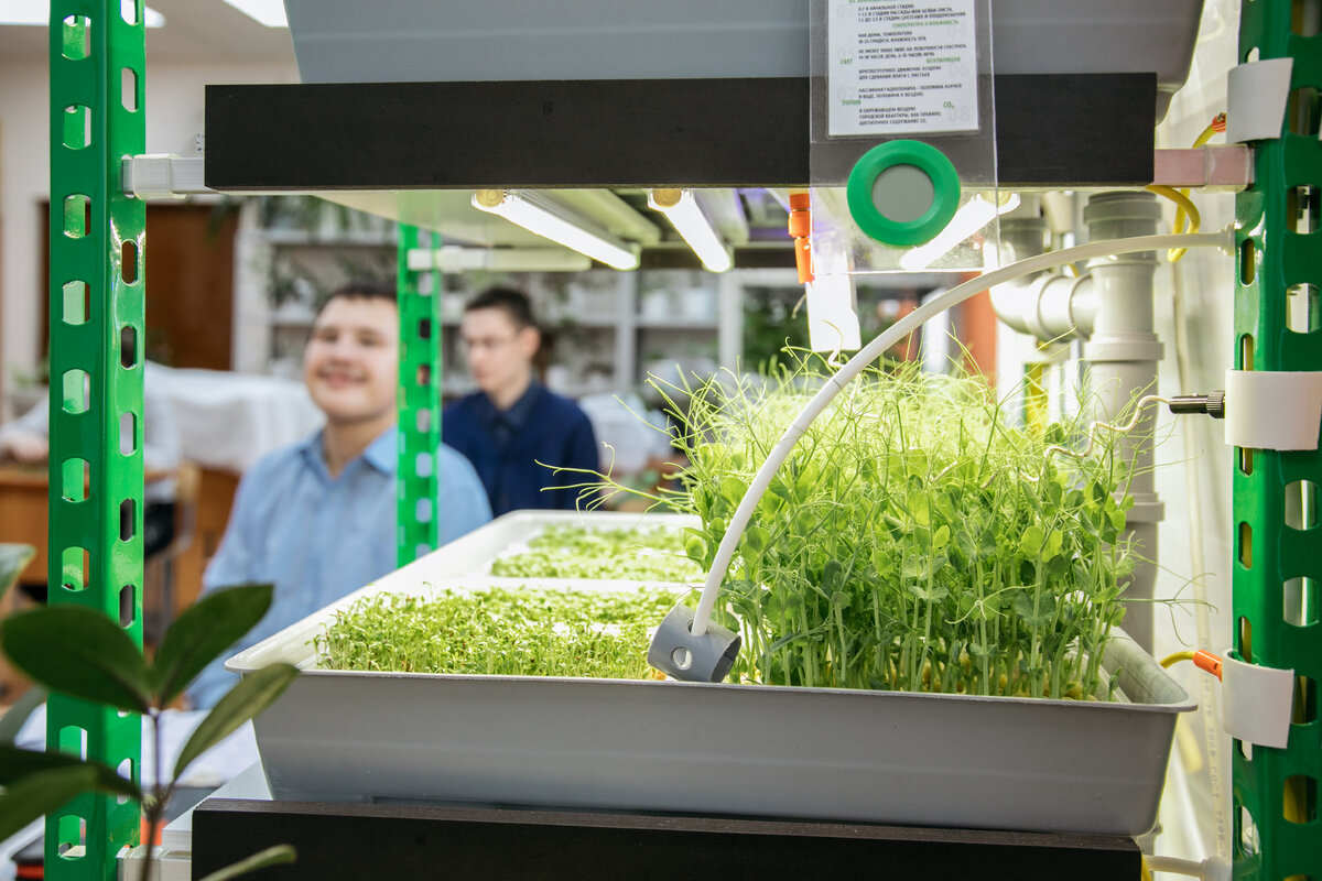    Где в Сургуте дети с особыми потребностями могут получить профессию