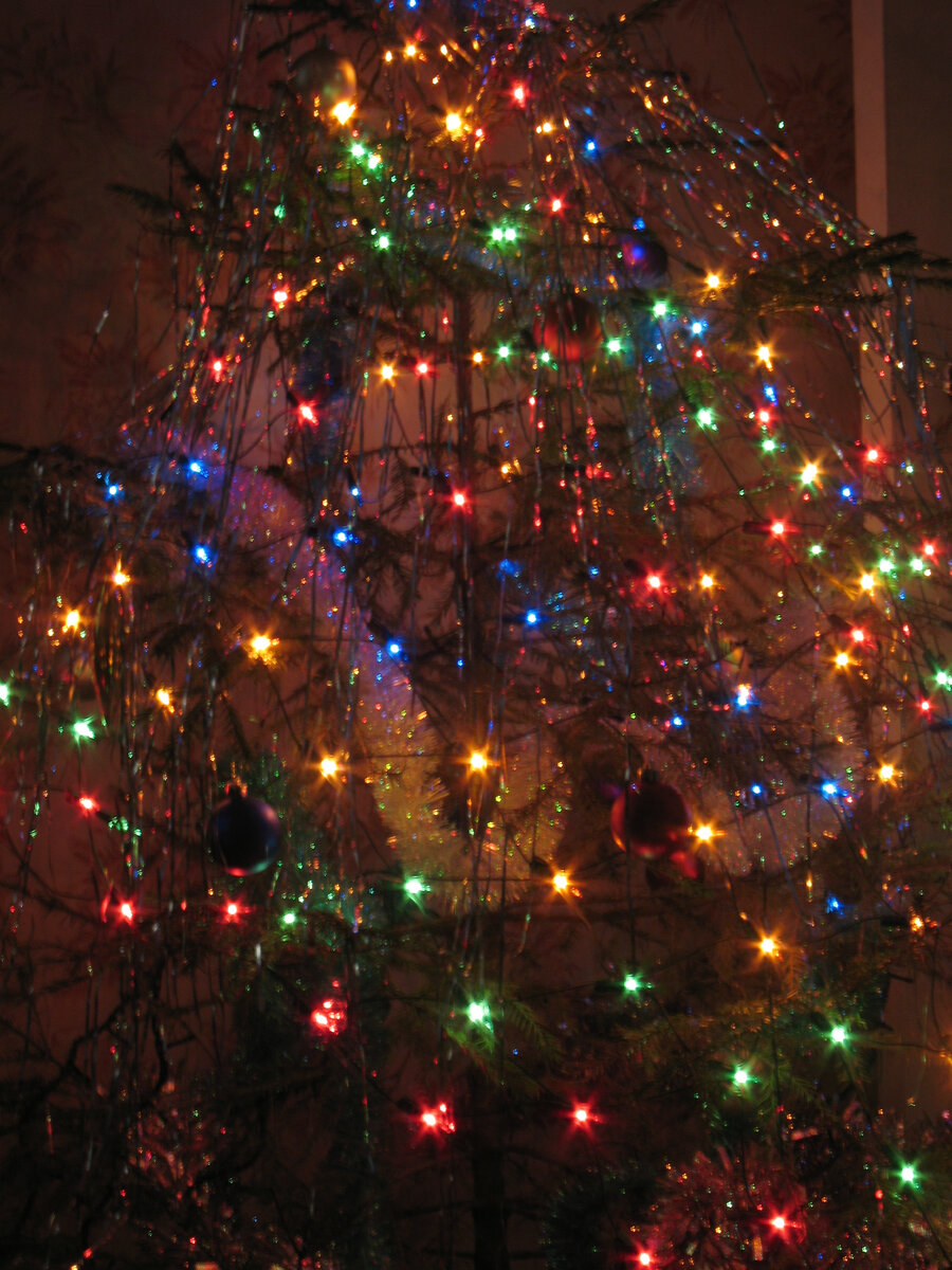 фото из архива автора