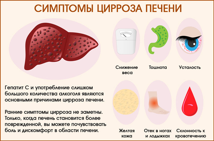 Печень – ключевая часть вашей пищеварительной системы, отвечающая за очистку крови от токсинов, обработку лекарств, выработку желчи, помощь в переваривании жиров, хранение глюкозы и выработку белков-2