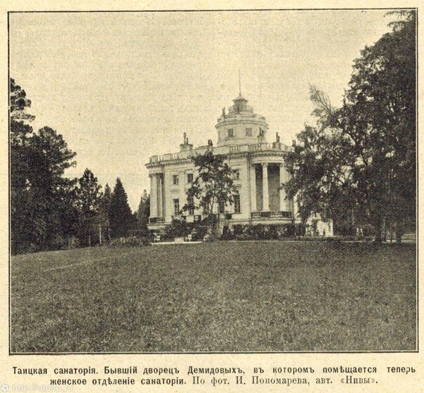 Фото из открытых источников.